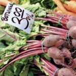 pęczek młodych buraków