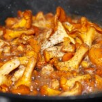 grzyby kurki smażą się na patelni