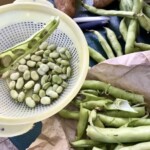 Horta zioła i warzywa gotowane