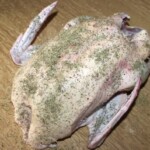 kaczka natarta suszonym majerankiem przygotowana do pieczenia