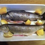 świeże pstrągi w naczyniu żaroodpornym