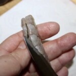 pozbawianie krewetki przewodu pokarmowego