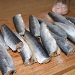 tuszki śledziowe