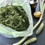 stamnagathi cykoria z Krety