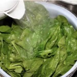 w garnku blanszowane są liście szpinaku