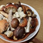 świeże grzyby leśnej w drewnianej misce