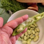 świeży bób w dłoni