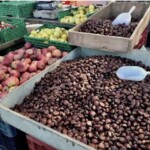 Kasztany jadalne na straganie