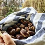 Kasztany pieczone