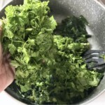 Screenshot świeże zioła