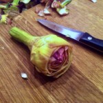 jak obrać karczocha