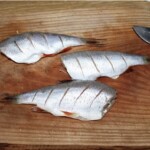 świeże tuszki ryb lądowych