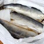 solone śledzie tuszki