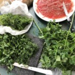 świeże zioła pokrojone