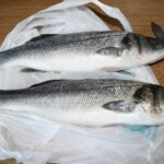 dwa świeże labraksy na stole