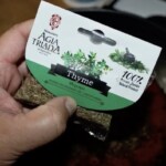 Screenshot paczka dusznego tymianku w dłoni