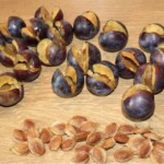 świeże śliwki pestkowanie