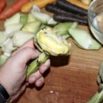 obrany karczoch w dłoni