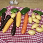 kolorowe warzywa leża na ściereczce kuchennej