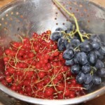 czarne winogrona i czerwone porzeczki na durszlaku