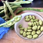 łuskanie świeżego bobu