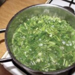 Zielona zupa czyli moc świeżych ziół