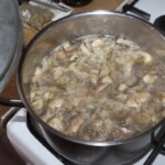 Zupa pieczarkowa z koprem włoskim i zacierką