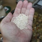 zacierka do zupy pieczarkowej z koprem włoskim na otwartej dłoni