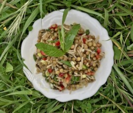 Sałatka z soczewicy z ryżem i papryką