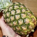 ananas w dłoni