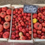 śwież pomidory w skrzynce plastikowej